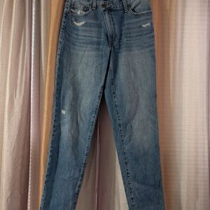 🎉 2 for $20 🎉 Pistola Light Blue Straight Jeans